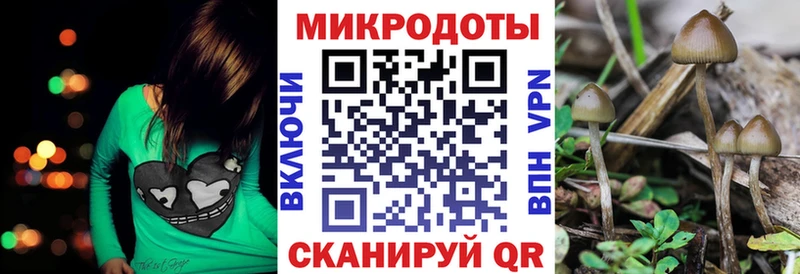 где можно купить наркотик  Терек  Псилоцибиновые грибы мухоморы 